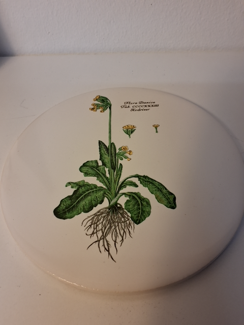 3 Flora Danica platter + Bog